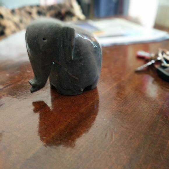 Elephants - Picture 15 of 15